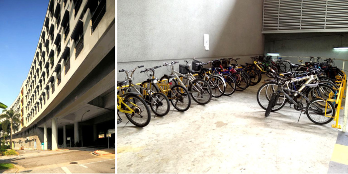 MIT-Express-Picture---Feb-2013-2