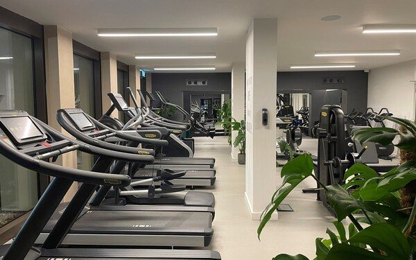 Plant, Lamp, Fitness