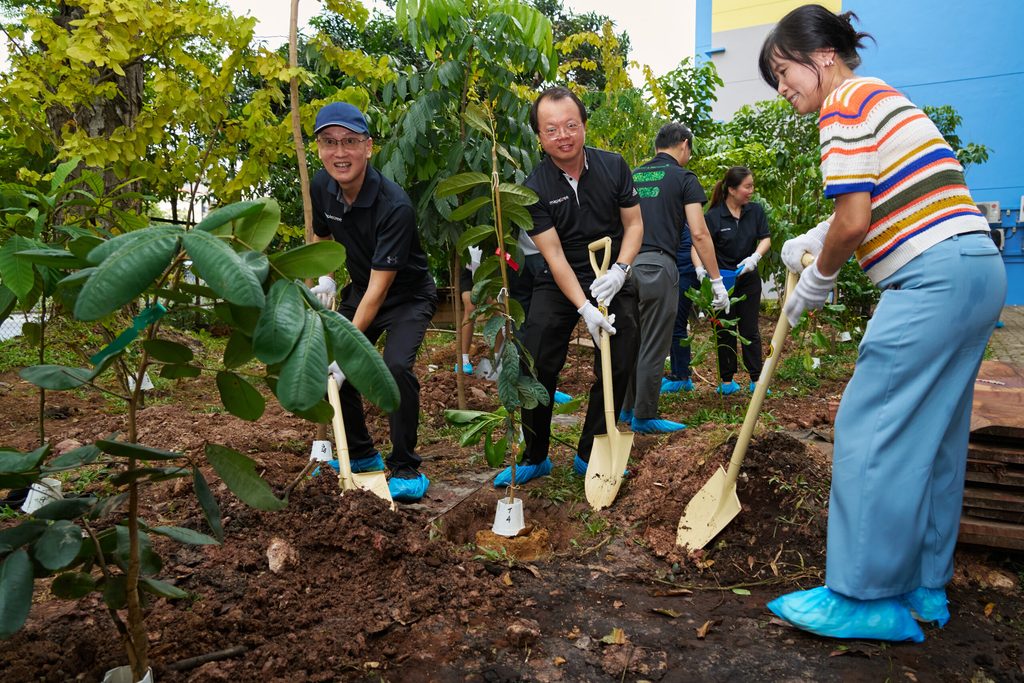 Garden, Nature, Outdoors