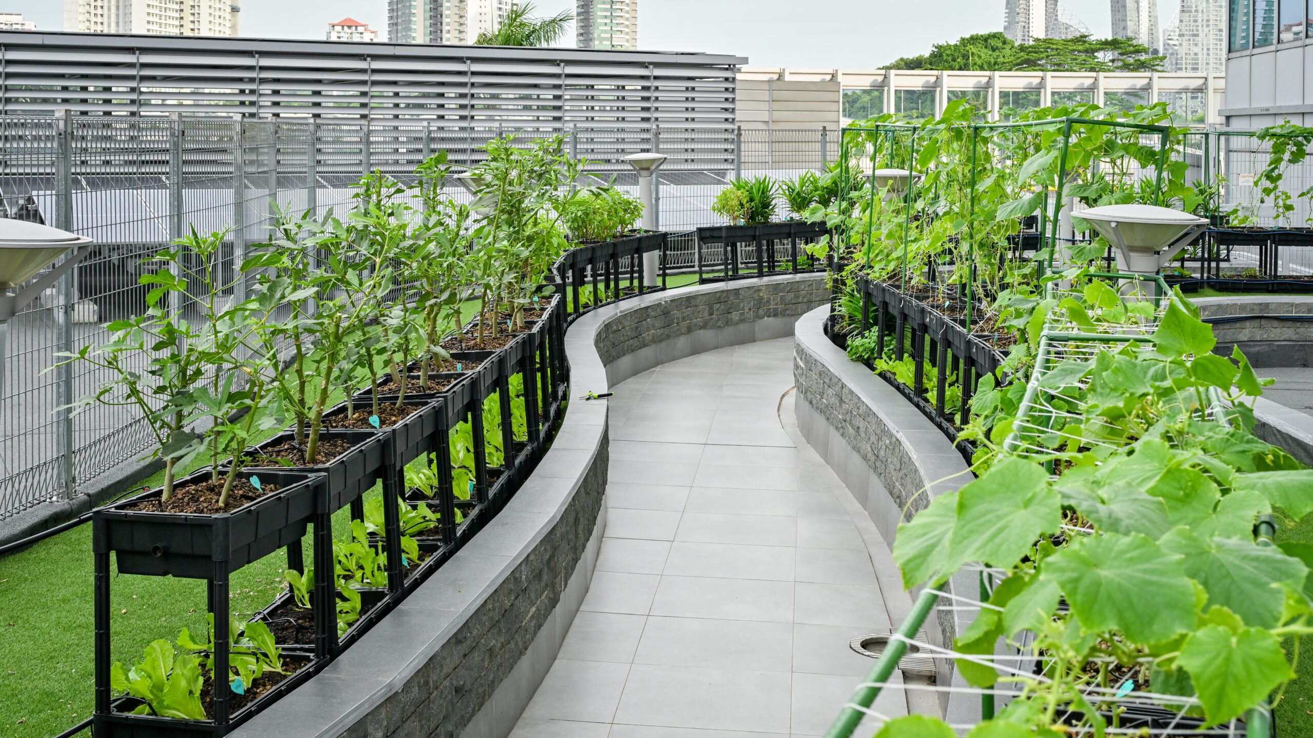 Garden, Nature, Outdoors