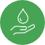 Light, Green, Christmas