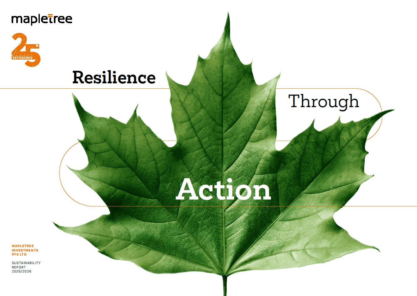 Leaf, Plant, Tree