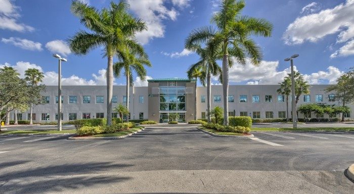City, Plant, Architecture